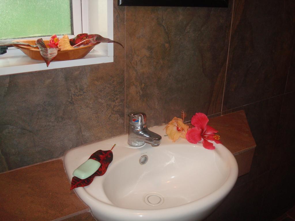 Gecko Lodge Fiji Savusavu Zimmer foto